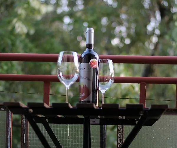 Apartament Domino Belogradcic