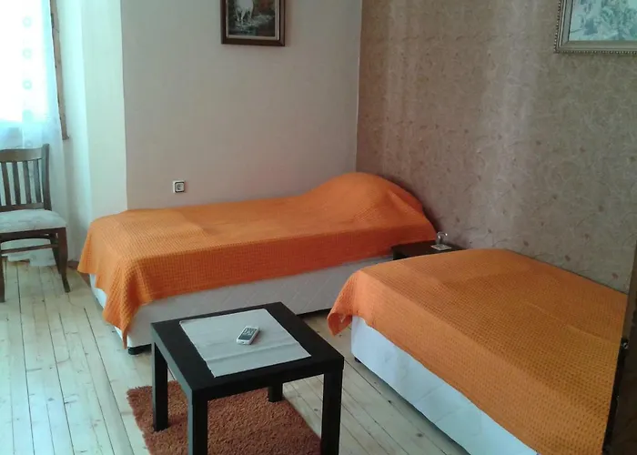 Domino * Belogradcic