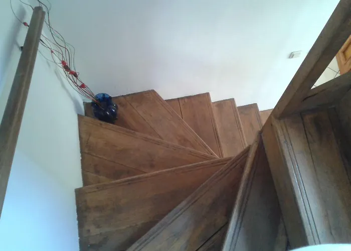 Apartament Domino Belogradcic